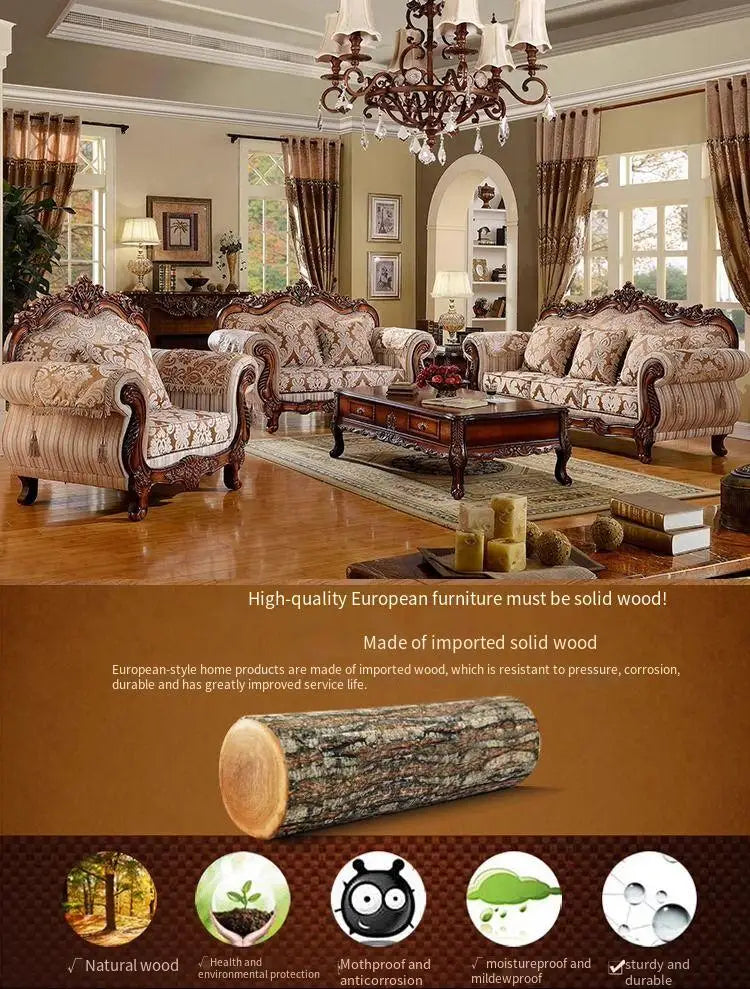 Designer European Living Room Sofas Minimalist Nordic Lounges Sofas Double Armchair Designer Canape Salon Home Furniture